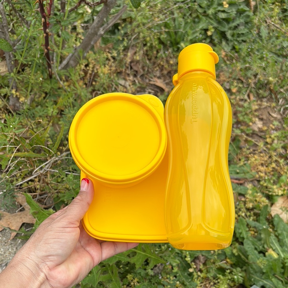 Tupperware Bottle and Lunch Container (3 Piece Set)